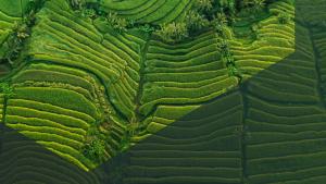 Aerial view of a landscape with multiple layers and lines